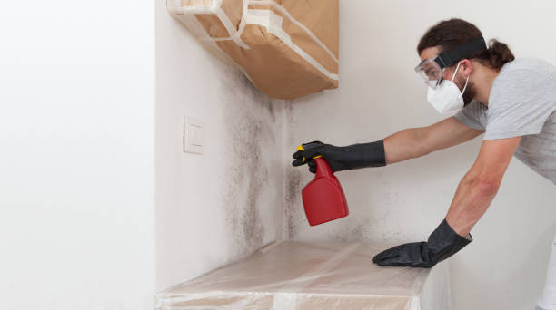 Professional Commercial Mold Remediation technician working in Franklin, TX