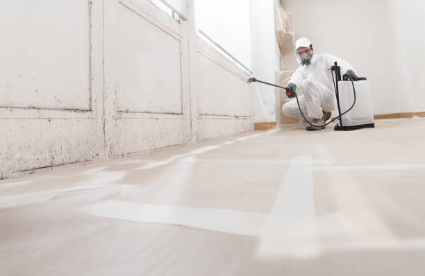 24/7 Emergency Commercial Mold Remediation experts in Franklin, TX