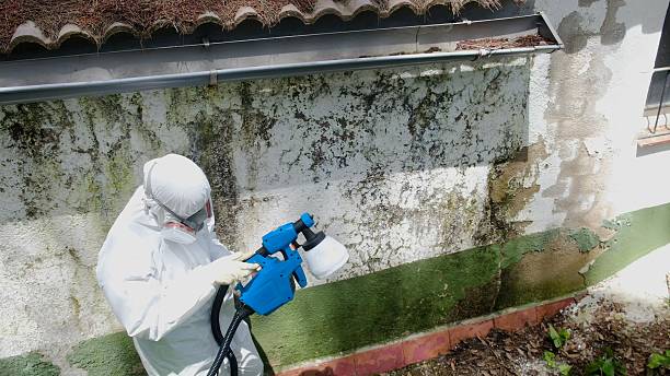 Trusted Mold Testing service in Franklin, TX - Cheap Mold Removal